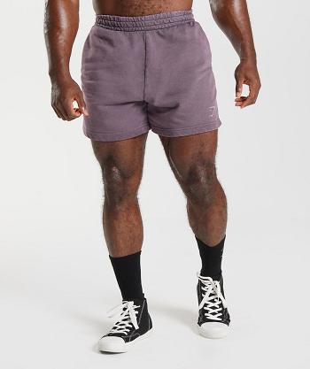 Pánské Šortky Gymshark Power Washed 5" Fialové | CZ 2926SGL